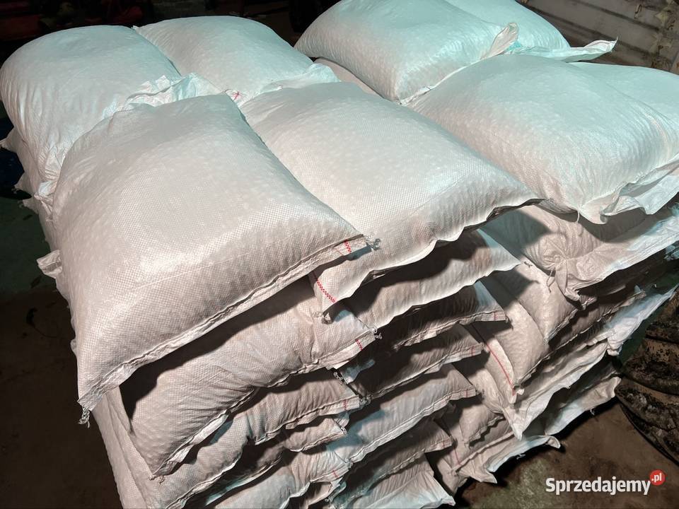 Fasola Jaś Karłowy 25 Zamość sprzedam