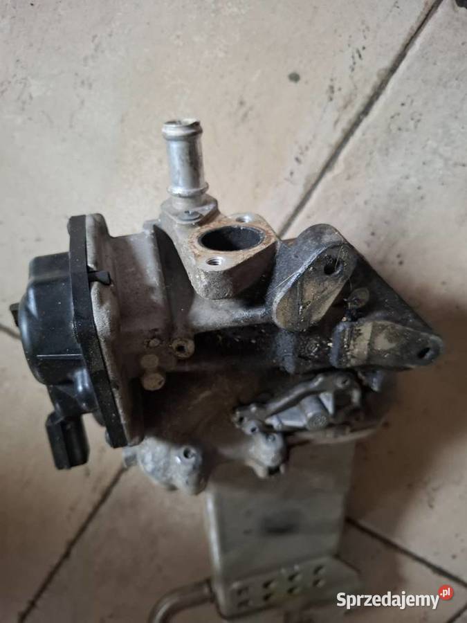 Zawór Egr chłodnica spalin VW Amarok 03L131512 Zielona Góra