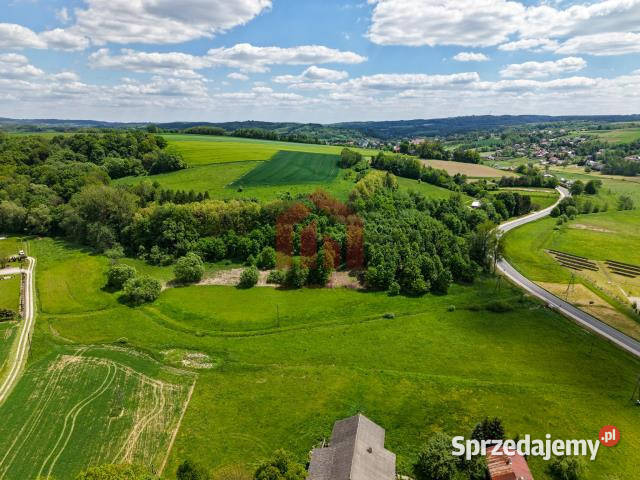 Działka 1000m2 Wielopole Skrzyńskie podkarpackie
