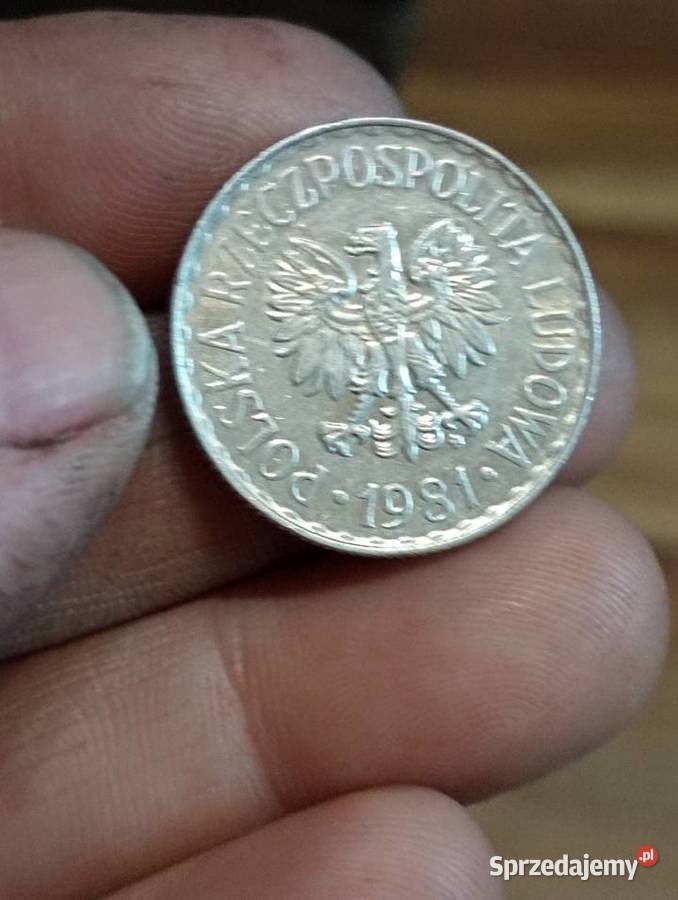 Sprzedam monete 1 zloty 1981r sprzedam