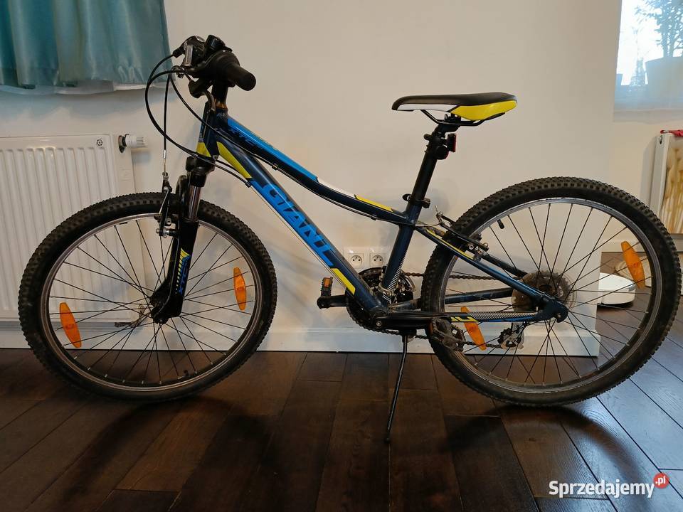 Rower Giant 24 dziecięcy