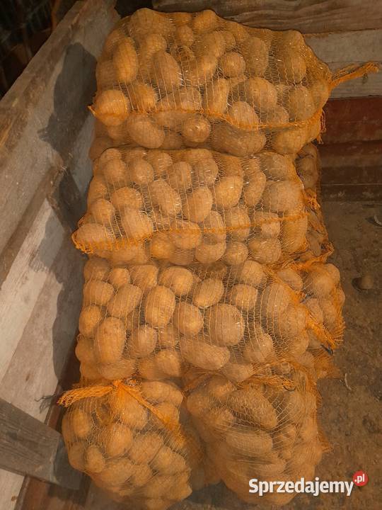 Ziemniaki jadalne wega sprzedam