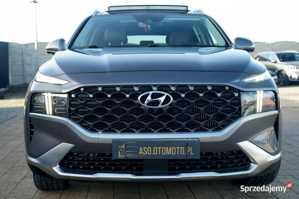 Hyundai Santa Fe FUL LED panorama skóra kamery 265KM opolskie Otmuchów