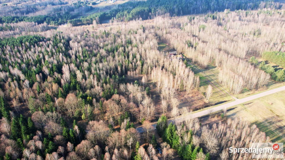 Sprzedam grunt 30288 metrów Ciosmy rolna lubelskie