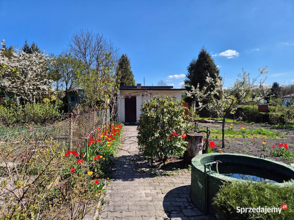 Działka ROD Chorzów Niedżwiedziniec śląskie