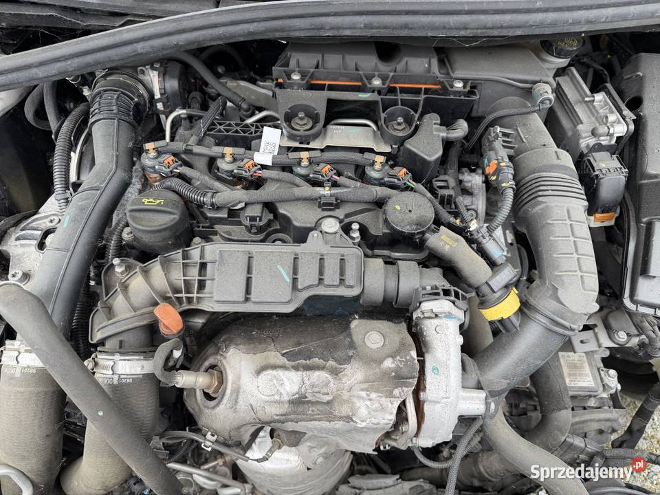 Peugeot 3008 BlueHDi 130 StopStart EAT8 Allure opolskie Prudnik