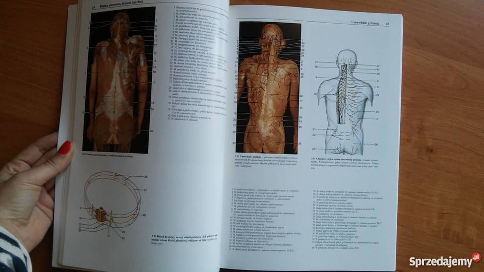 Fotograficzny atlas anatomii człowieka Chihiro studia Myszków