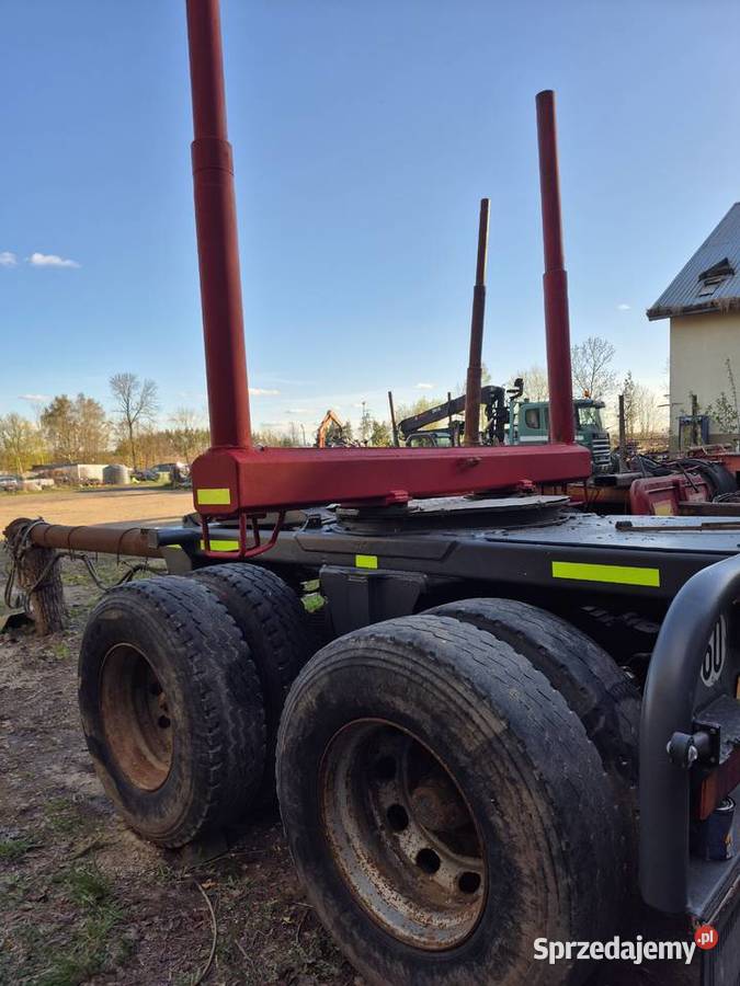 DIEBOLT FIEDRICH DO LASU DREWNA DRZEWA Olecko