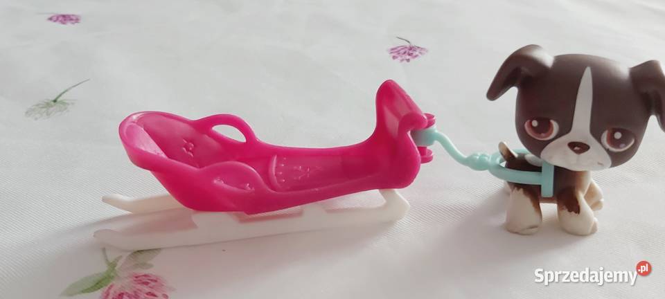 Piesek z sankami Hasbro zestaw Braniewo