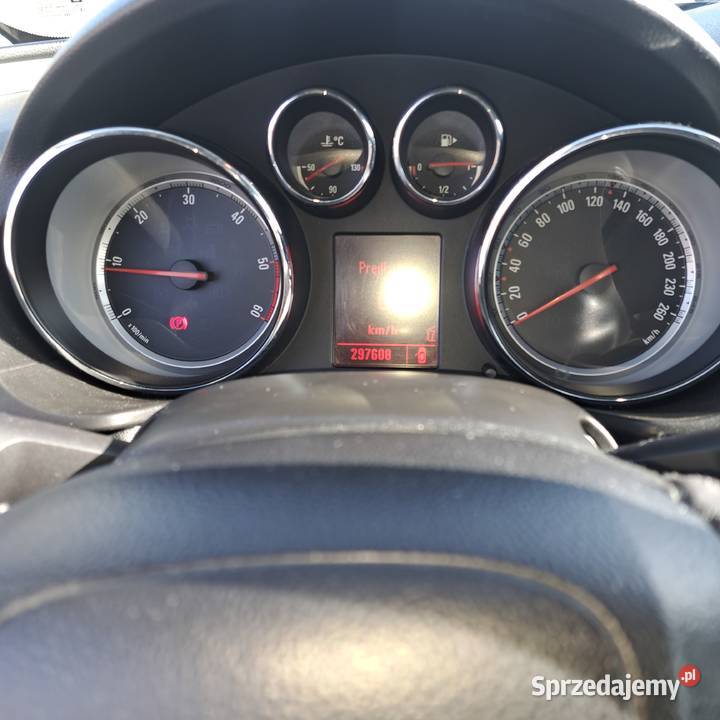 Insignia Niedrzwica Duża