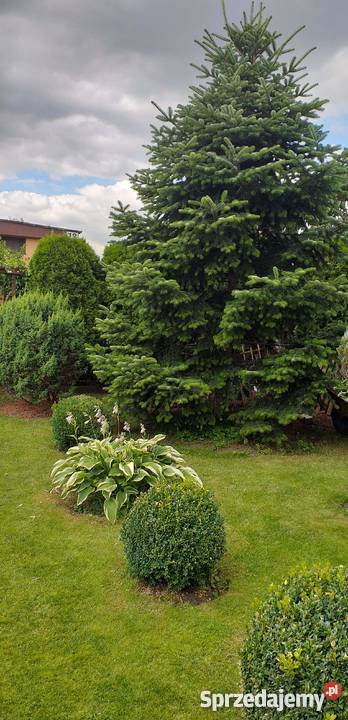 Ładna działka rekreacyjna sprzedam