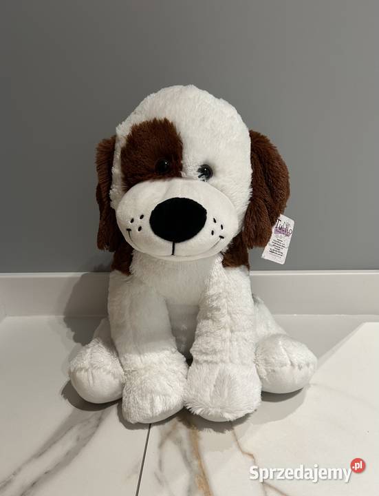 Tulilo śliczny duży piesek nowy 39 0+ Wrocław sprzedam