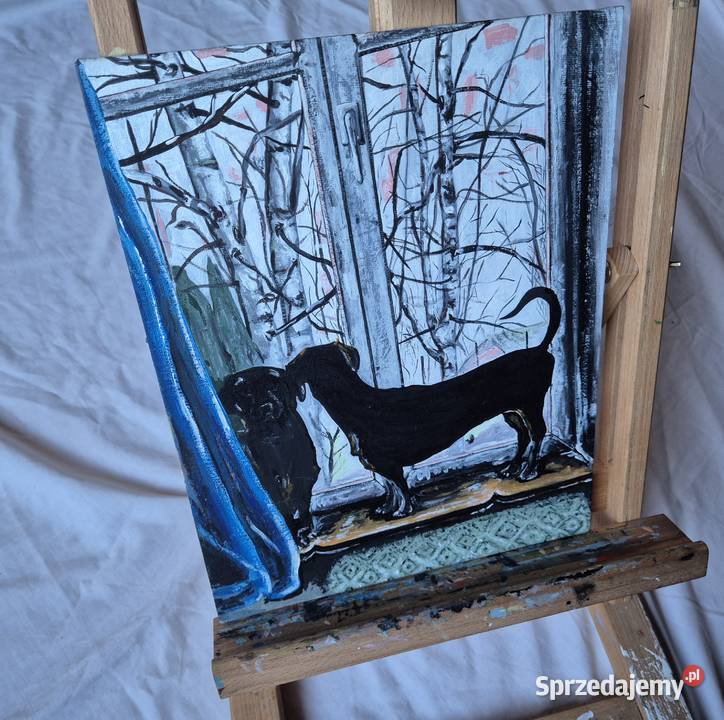 Jamniki jamnik w oknie obraz na płótnie artysty Brzesko sprzedam