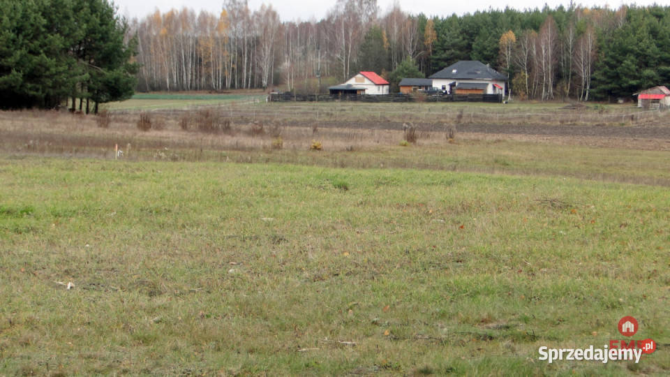 Grunt Tołcze 1000m2