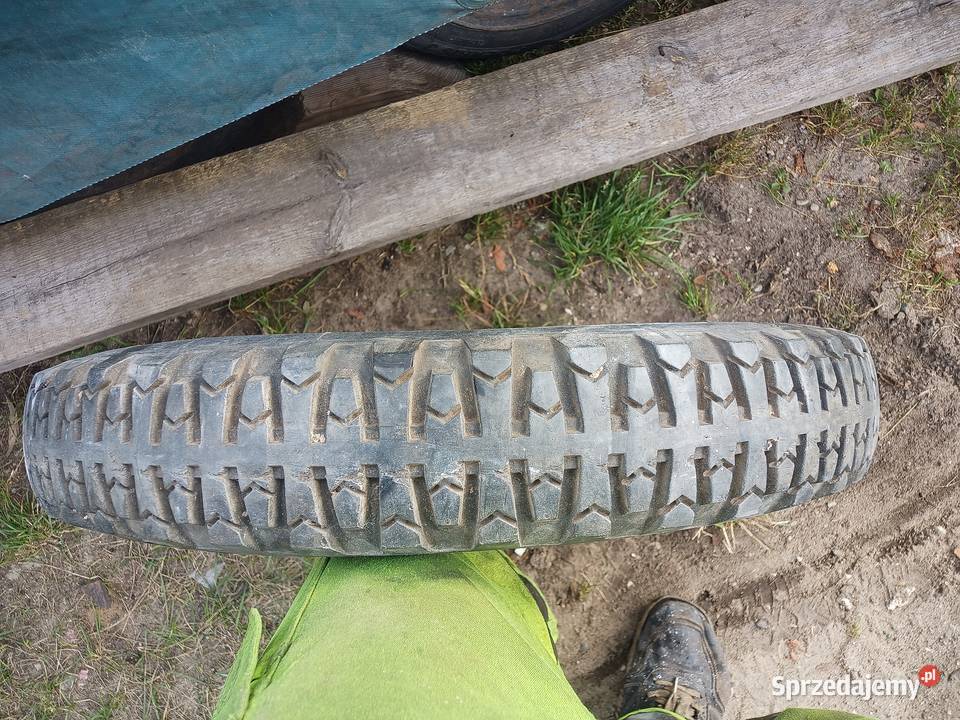 SokółJunak Opona pomorskie