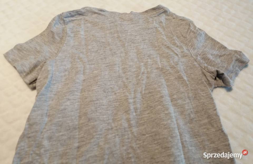 Koszulka krótki rękaw Tshirt dinozaury 116 CA