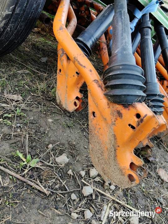 Redlice krzywe proste Amazone d7 d8 d4 Pozostałe Jałowęsy sprzedam