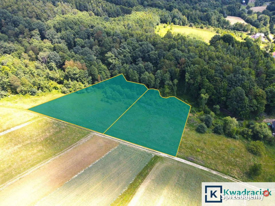 sprzedaży działki 4527m2 Lalin sprzedam