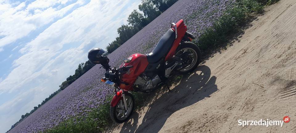 Honda CB500 Rok produkcji 2003 Motoryzacja Danków sprzedam