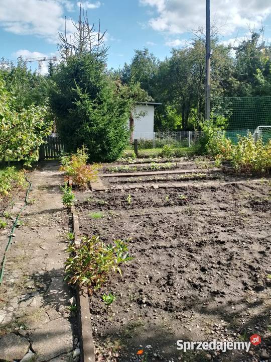 Sprzedam ogródek działkowy rod Plon 83zł/m2 Nieruchomości Wrocław