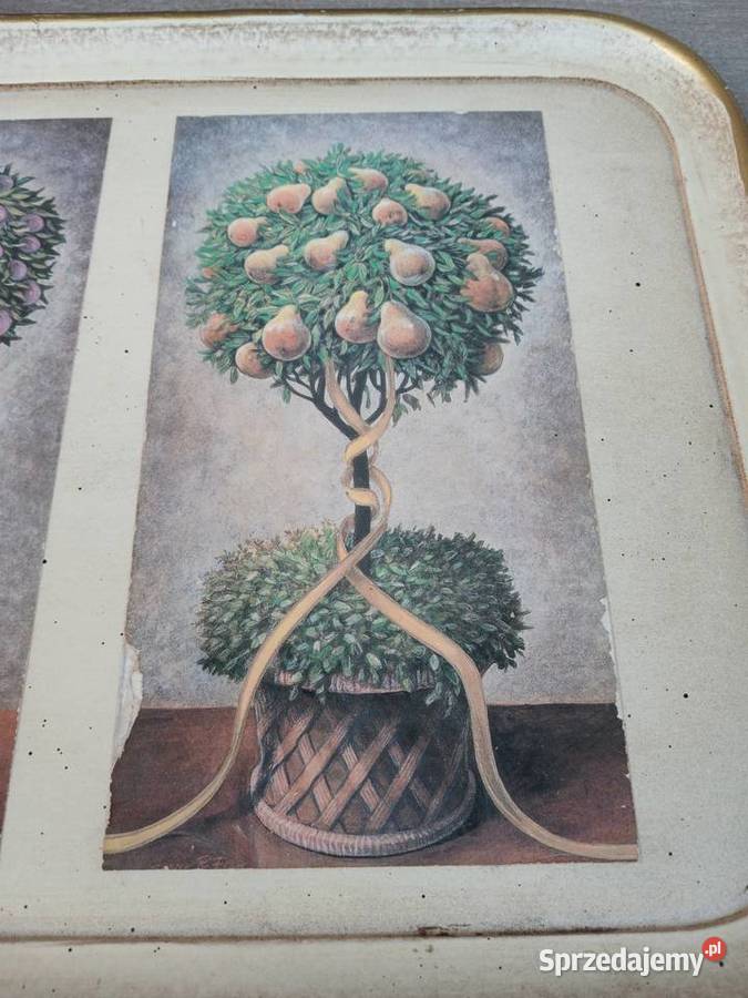 Dekoracja drewniana taca motyw botaniczny 40x30 Warszawa