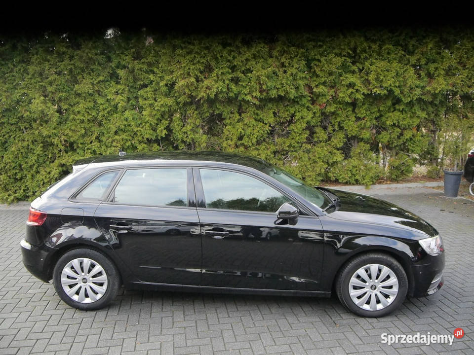 Audi A3 20tdi Ledy 100bezwypadkowy Stan Idealny 4/5 A3