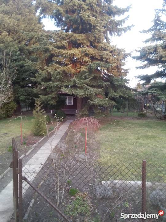 Działka rekreacyjna Sochaczew