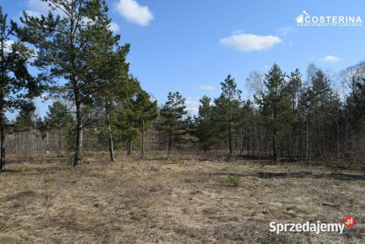 Sprzedam działka Parchowo 1312m2 pomorskie