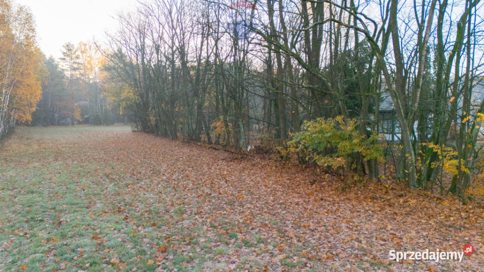 4 hektary wolności pod Warszawą Ostrowik