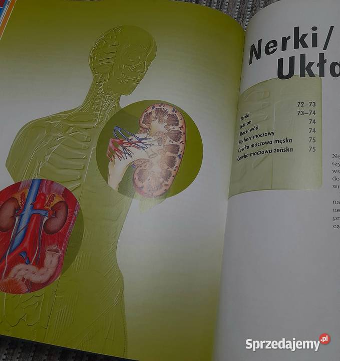 Książka edukacyjna Ciało człowieka Wiedza w Jarosław