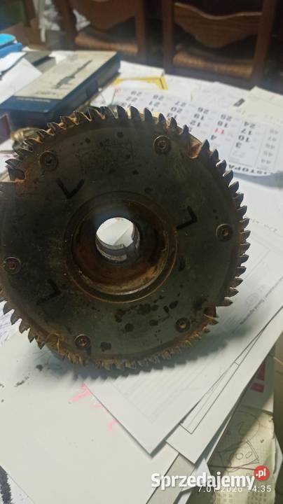 piło rębak do czopiarki Leitz lignum Kłodawa