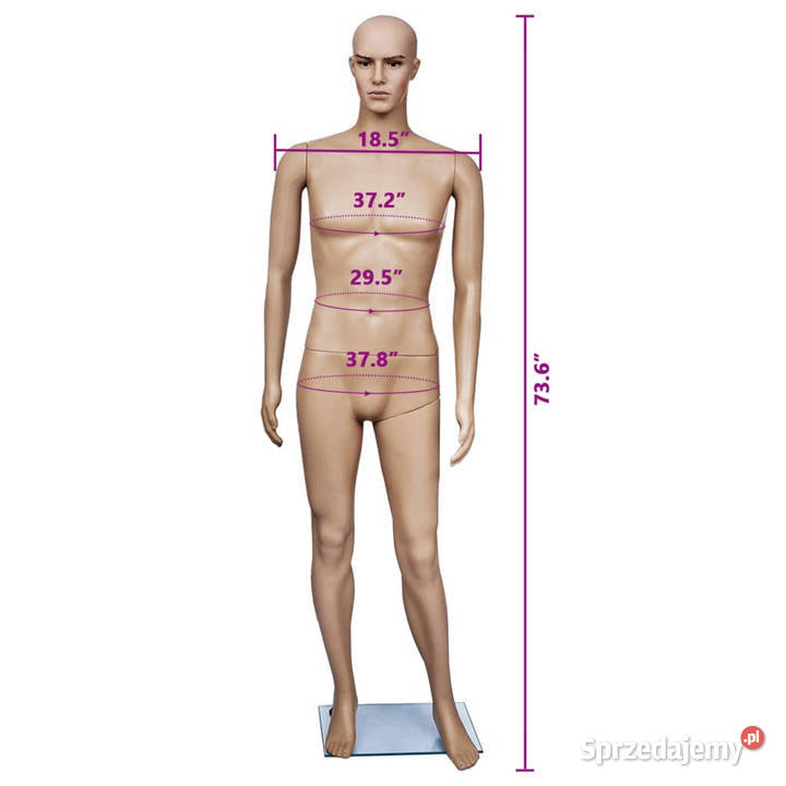 MANEKIN MĘSKI BEŻOWY 187 SZKLANA PODSTAWA mazowieckie Warszawa