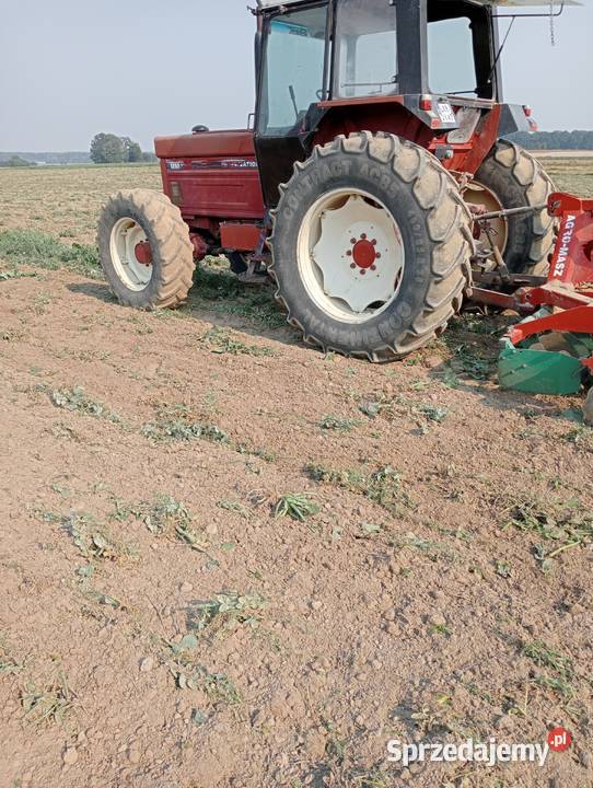 Case international 1255 WOM 540/1000 obr. Trzydnik Duży