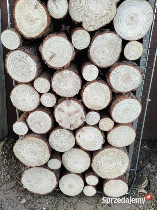 Wnęka kominka drewno pieńki sosna natura Kulno