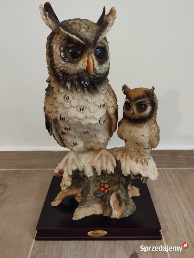 S O W Y żywe Ustroń