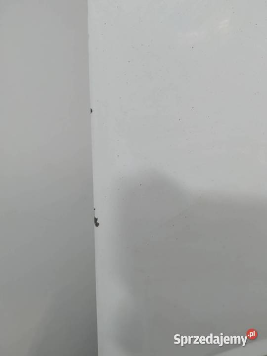 DRZWI PRAWE TYŁ SKRZYDEŁKO Fiat Ducato III 2007 osobowe sprzedam