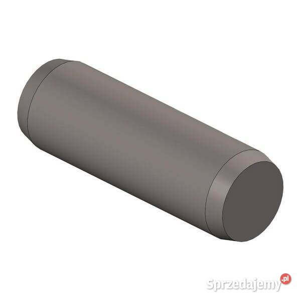 Kołek kontrolny cylindryczny 10 x 30 Scharmller Kamionna