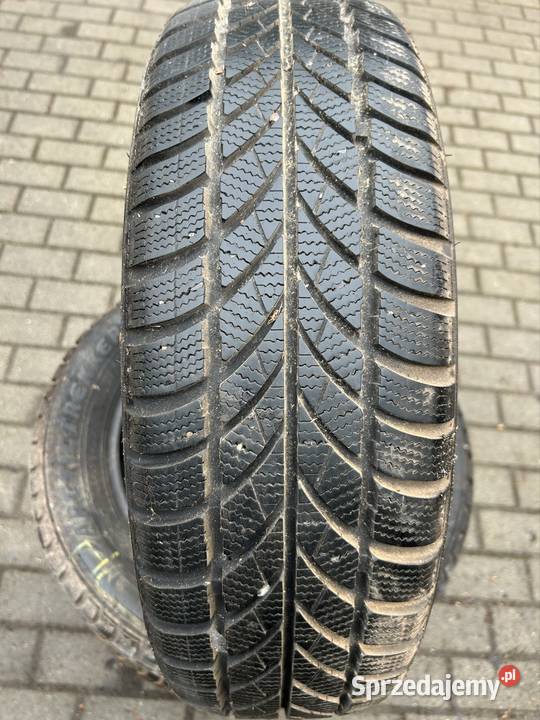 Maxxis 4xopony 1856515 120 lubuskie