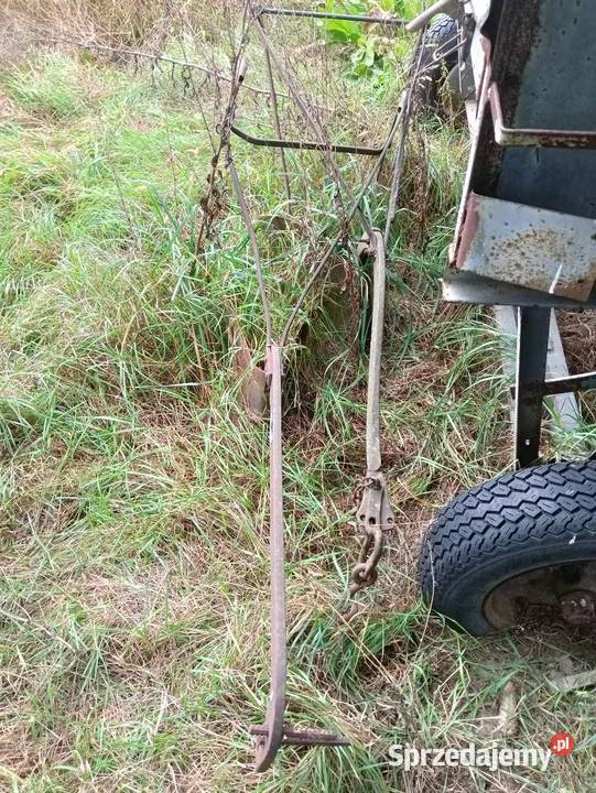Pług i radło konne Pcin sprzedam