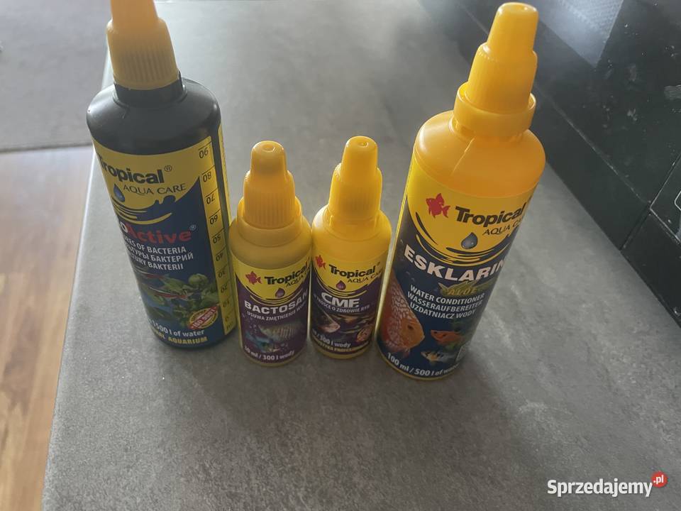 Akwarium 10l Gdańsk