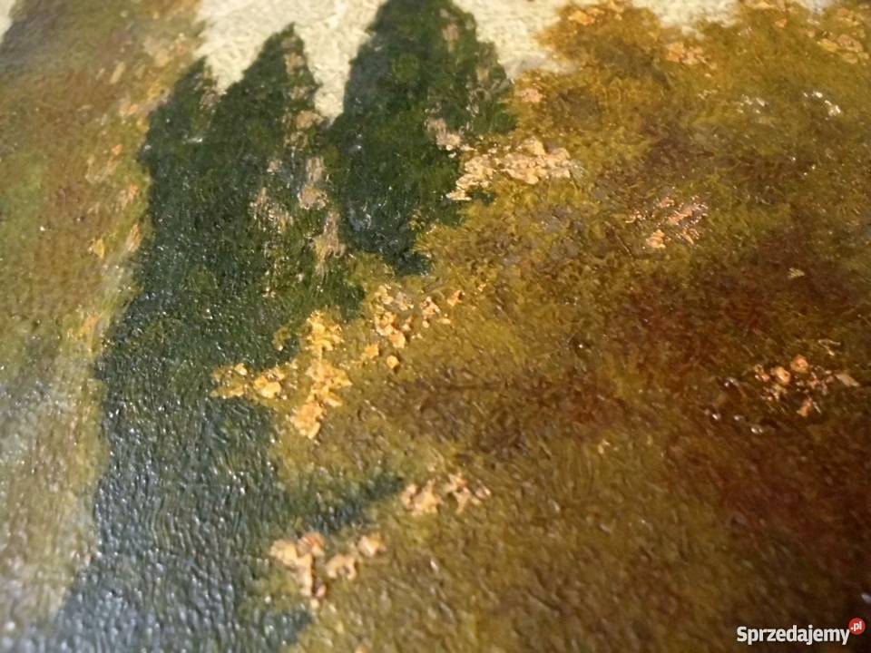 ANTYK Stary obraz olejny sygnowany KGoetze 48 małopolskie Kraków