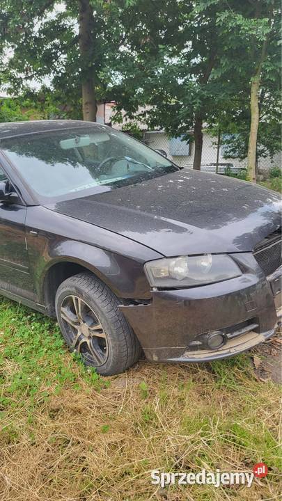 Części Audi A38P 19 TDI BLS LZ8Y szary A3 podkarpackie Radymno