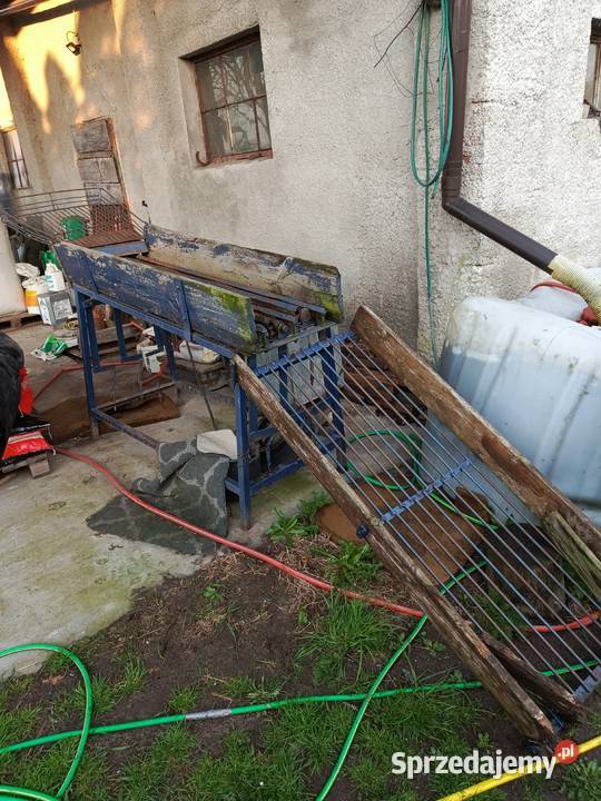 Maszyna do cebuli Pozostałe kujawsko-pomorskie Gruta