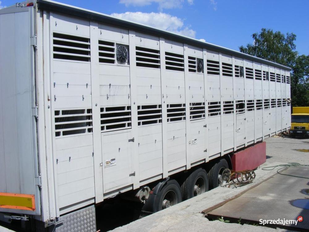 Naczepa do przewozu koni zabudowa 2010 Mokowo