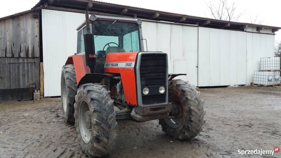 Massey Ferguson 2620 Radio Krzczonów-Wójtowstwo sprzedam