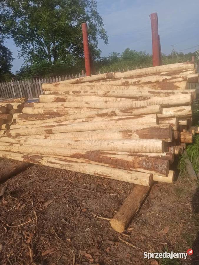 Słupki kołki korowane jodła Kolbuszowa sprzedam