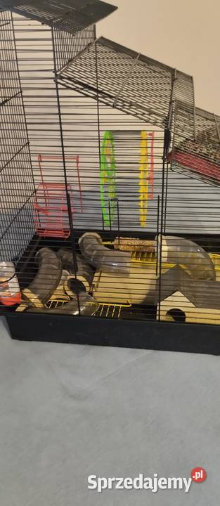 Klatka z akcesoriami pokarm Pozostałe kujawsko-pomorskie Bydgoszcz
