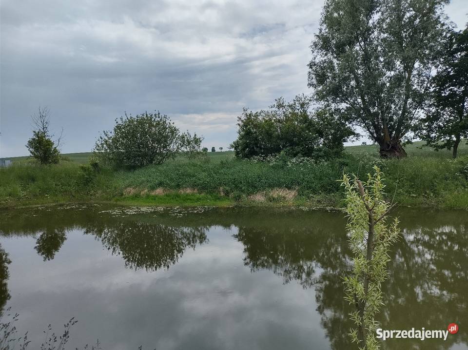 Sprzedam dom działkę Sokoligora Sprzedaż sprzedam