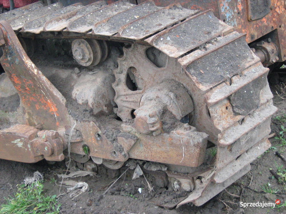 Spycharka Rumunek Ujście