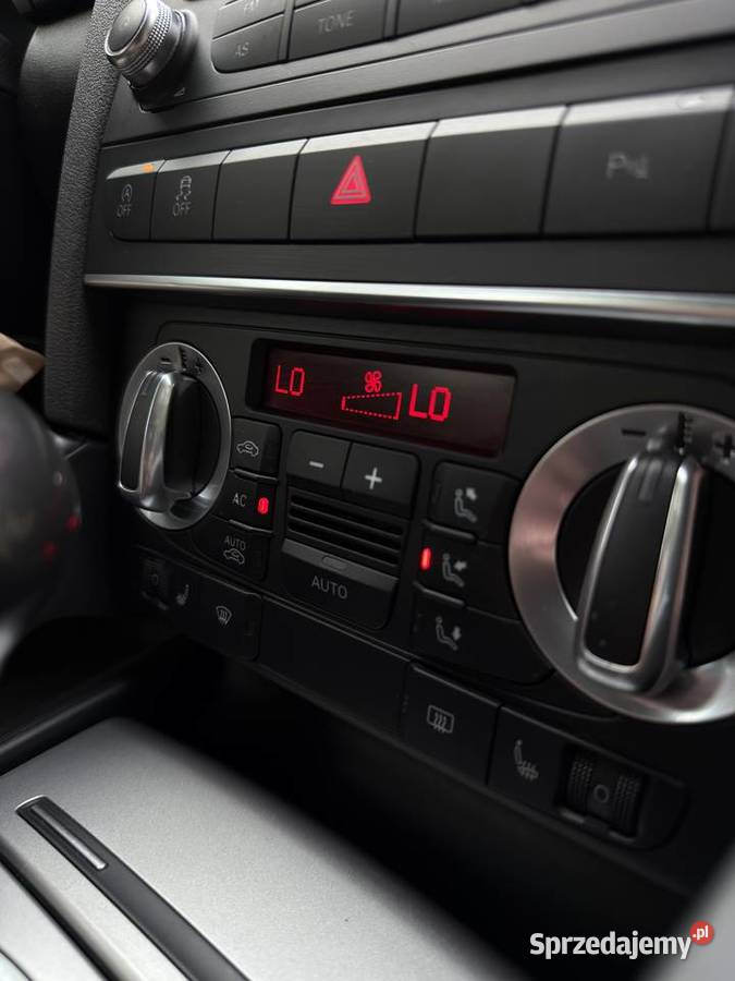 Audi A3 8P DSG Pionki